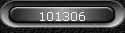 101306