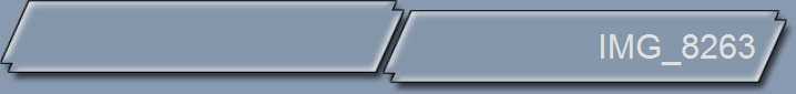 IMG_8263
