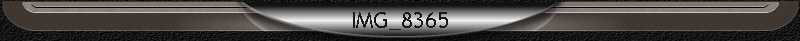 IMG_8365